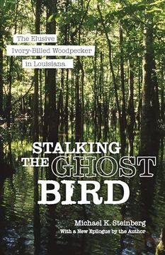portada Stalking the Ghost Bird: The Elusive Ivory-Billed Woodpecker in Louisiana (en Inglés)