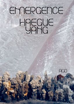 portada Haegue Yang (en Inglés)