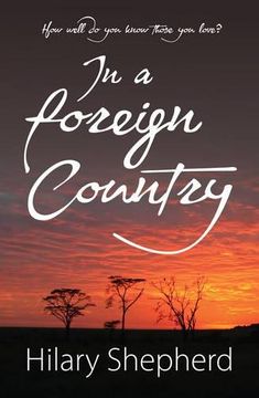 portada In a Foreign Country (Honno Modern Fiction)