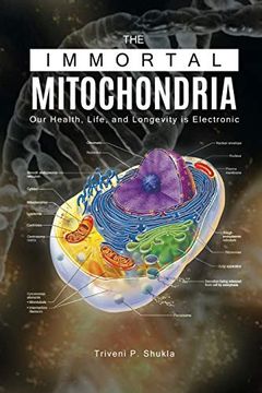 portada The Immortal Mitochondria: Our Health, Life, and Longevity is Electronic (en Inglés)