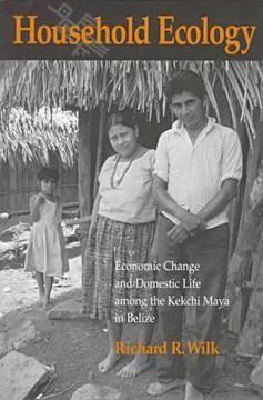 portada household ecology: economic change and domestic life among the kekchi maya in belize (in English)