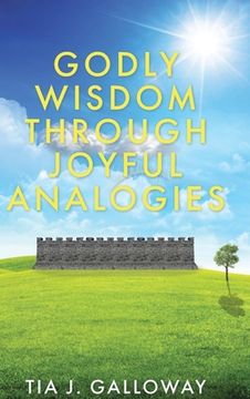 portada Godly Wisdom through Joyful Analogies (in English)