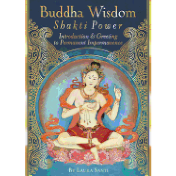 portada Buddha Wisdom, Shakti Power: Introduction and Greeting to Permanent Impermanence (en Inglés)