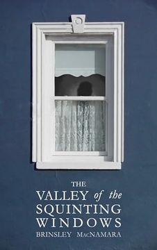 portada The Valley of the Squinting Windows (en Inglés)