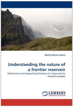 portada understanding the nature of a frontier reservoir (en Inglés)