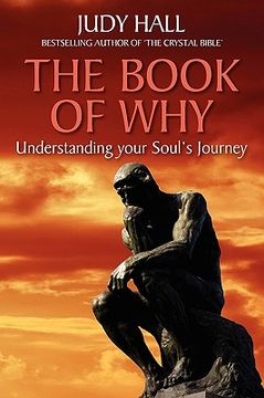 portada the book of why (en Inglés)