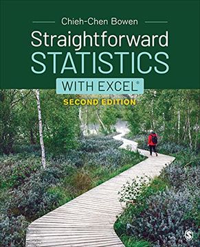 portada Straightforward Statistics with Excel (in English)