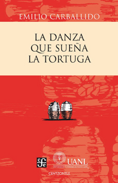 portada La Danza que Sueña la Tortuga (in Spanish)