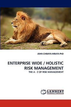 portada enterprise wide / holistic risk management (en Inglés)