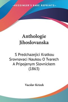 portada Anthologie Jihoslovanska: S Predchazejici Kratkou Srovnavaci Naukou O Tvarech A Pripojenym Slovnickem (1863)