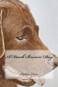 portada A Dark Brown Dog (in English)