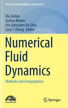 portada Numerical Fluid Dynamics: Methods and Computations (en Inglés)
