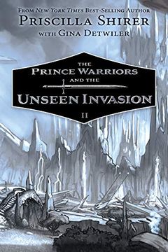 portada Prince Warriors and the Unseen Realm, the 