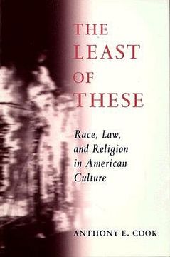 portada the least of these: race, law, and religion in american culture (en Inglés)