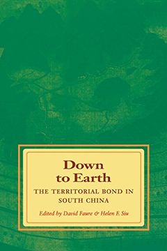 portada Down to Earth: The Territorial Bond in South China (in English)