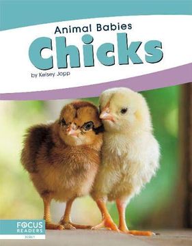 portada Animal Babies: Chicks (en Inglés)
