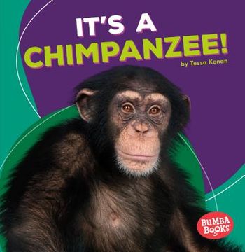portada It's a Chimpanzee! (in English)