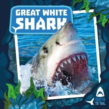 portada Great White Shark (Teeth to Tail) (en Inglés)