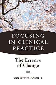 portada Focusing in Clinical Practice: The Essence of Change