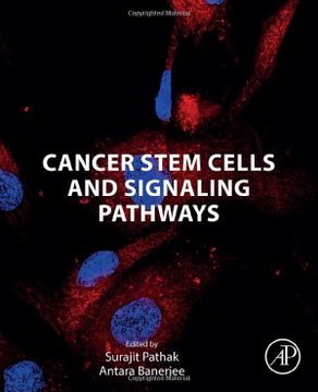 portada Cancer Stem Cells and Signaling Pathways (en Inglés)