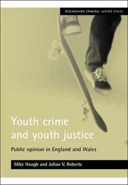 portada youth crime and youth justice: public opinion in england and wales (in English)