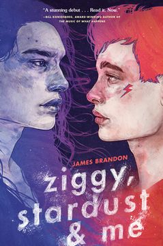 portada Ziggy, Stardust and me (en Inglés)