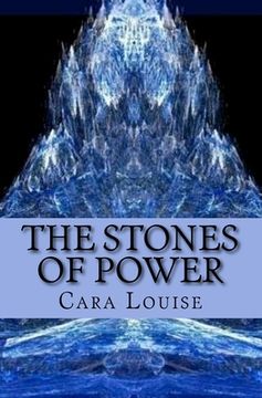 portada The Stones of Power: The 2nd in The Beast of Biddersley Grange Trilogy (en Inglés)
