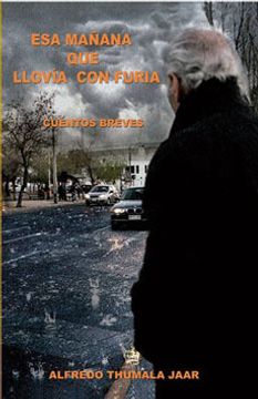 portada Esa Mañana que Llovía con Furia (in Spanish)