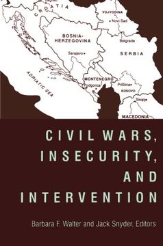 portada Civil Wars, Insecurity, and Intervention (en Inglés)