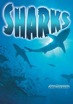 portada Sharks (Wow! Facts (Bl))