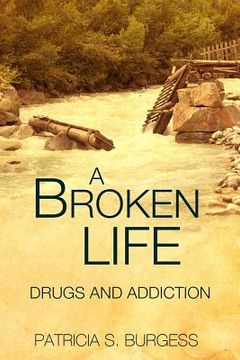 portada A Broken Life: : Mental Illness or Addiction (en Inglés)