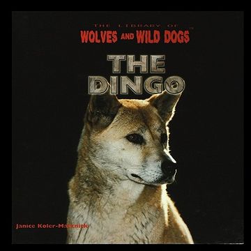 portada the dingo (en Inglés)