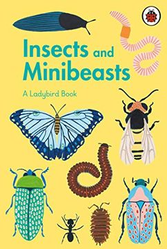 portada A Ladybird Book: Insects and Minibeasts 