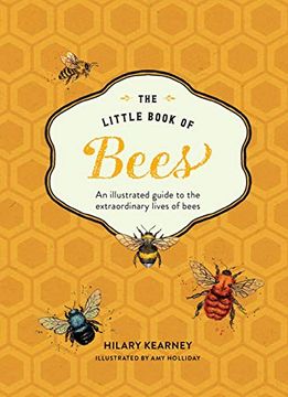 portada The Little Book of Bees: An Illustrated Guide to the Extraordinary Lives of Bees (in English)