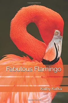 portada Fabulous Flamingo (en Inglés)