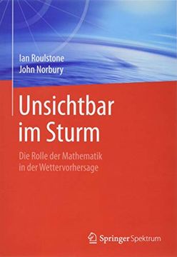 portada Unsichtbar im Sturm: Die Rolle der Mathematik in der Wettervorhersage (en Alemán)