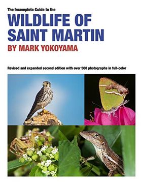 portada The Incomplete Guide to the Wildlife of Saint Martin (en Inglés)