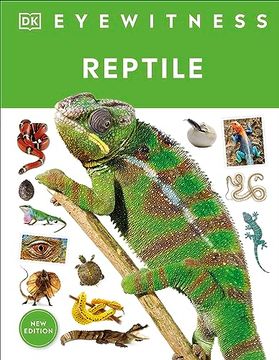 portada Eyewitness Reptile (dk Eyewitness) (in English)