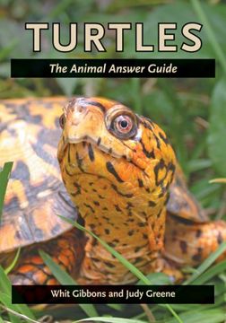 portada Turtles: The Animal Answer Guide (The Animal Answer Guides: Q&a for the Curious Naturalist) 