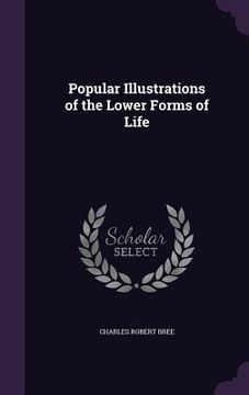 portada Popular Illustrations of the Lower Forms of Life (in English)