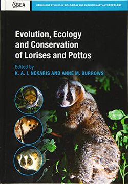 portada Evolution, Ecology and Conservation of Lorises and Pottos (en Inglés)