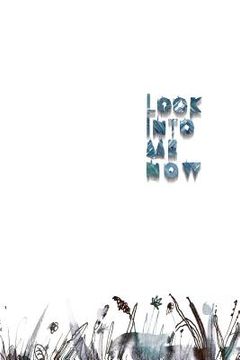 portada Look Into Me Now: a book of abandoned things (en Inglés)