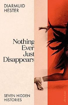 portada Nothing Ever Just Disappears 