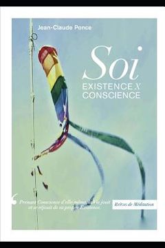 portada Brèves de Méditation: Soi Existence X Conscience (in French)