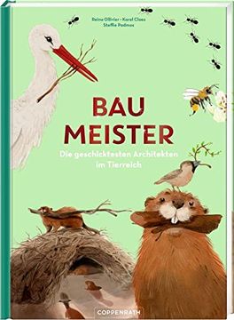 portada Baumeister: Die Geschicktesten Architekten im Tierreich (en Alemán)