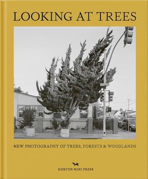 portada Looking at Trees (en Inglés)