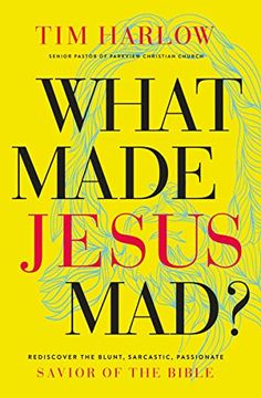 portada What Made Jesus Mad? *: Rediscover the Blunt, Sarcastic, Passionate Savior of the Bible (en Inglés)