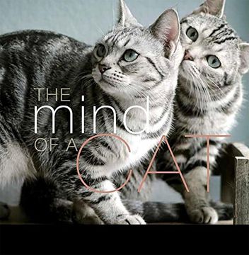 portada The Mind of a cat 
