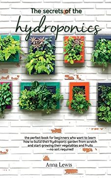portada The Secrets of the Hydroponics: The Perfect Book for Beginners who Want to Learn how to Build Their Hydroponic Garden From Scratch and Start Growing. Fruits-No Soil Required! - June 2021 Edition (in English)