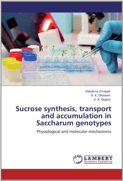 portada sucrose synthesis, transport and accumulation in saccharum genotypes (en Inglés)
